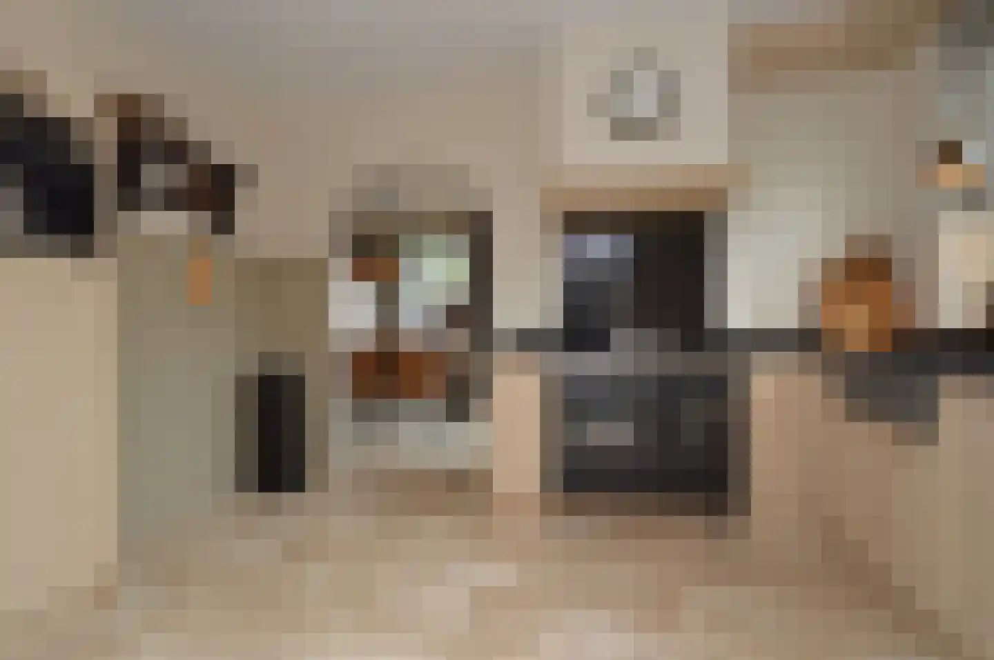Batspade 27 Deurne thumbnail 9