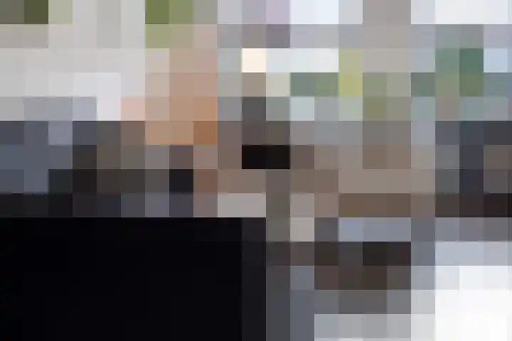 Batspade 34 Deurne thumbnail 10