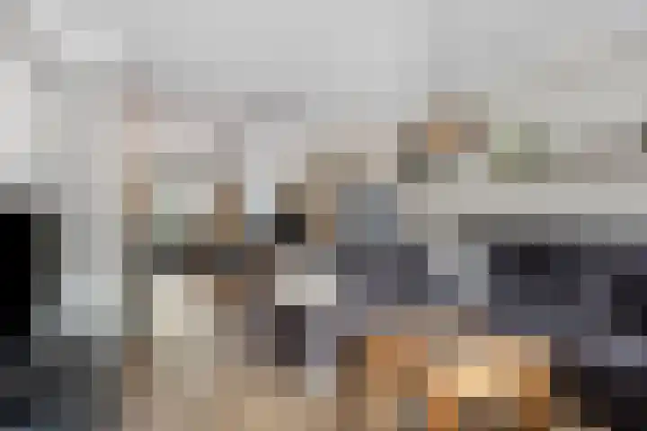 Batspade 34 Deurne thumbnail 11