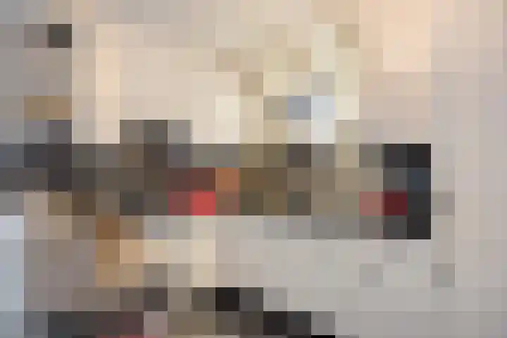 Batspade 34 Deurne thumbnail 15