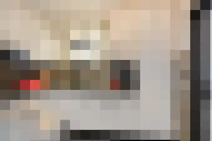 Batspade 34 Deurne thumbnail 16