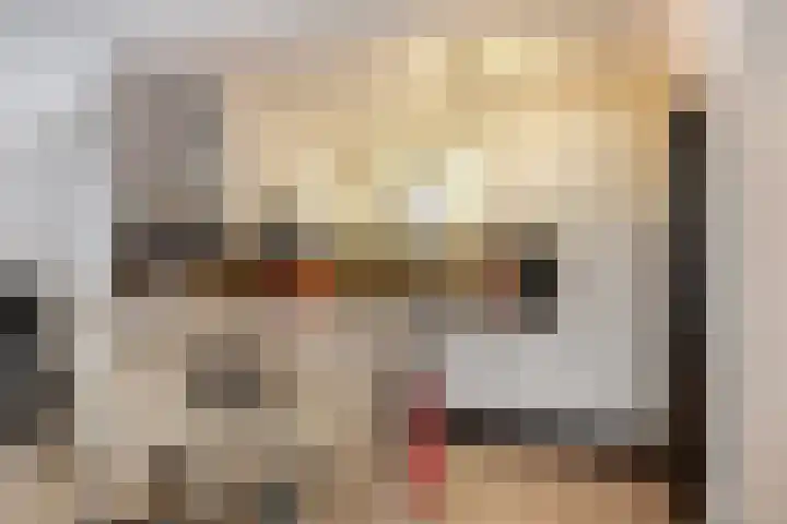 Batspade 34 Deurne thumbnail 17