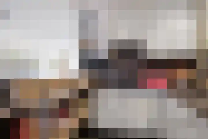 Batspade 34 Deurne thumbnail 18