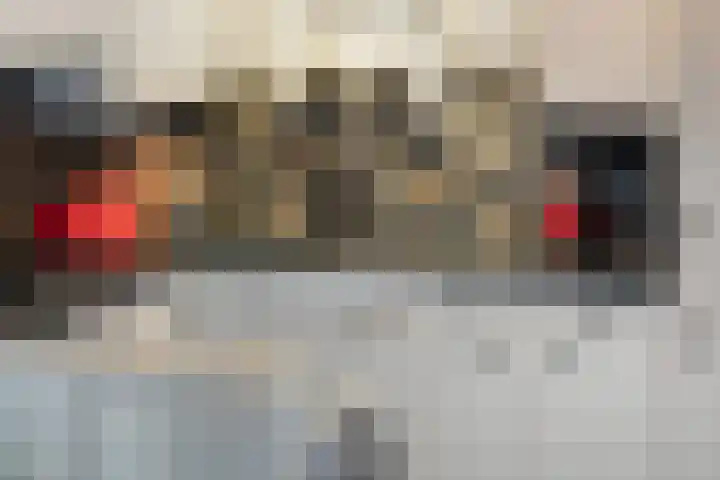 Batspade 34 Deurne thumbnail 19
