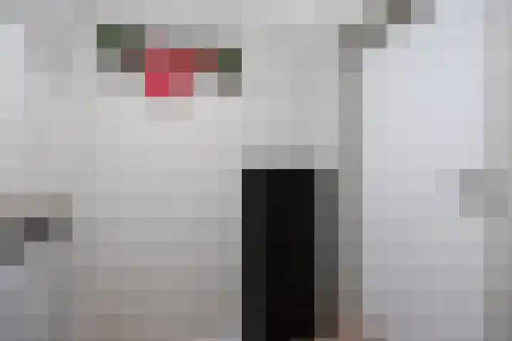 Batspade 34 Deurne thumbnail 23