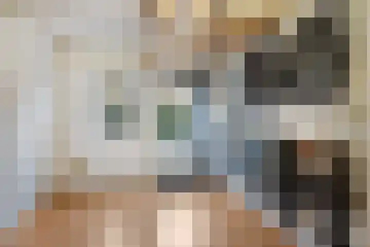 Batspade 34 Deurne thumbnail 25