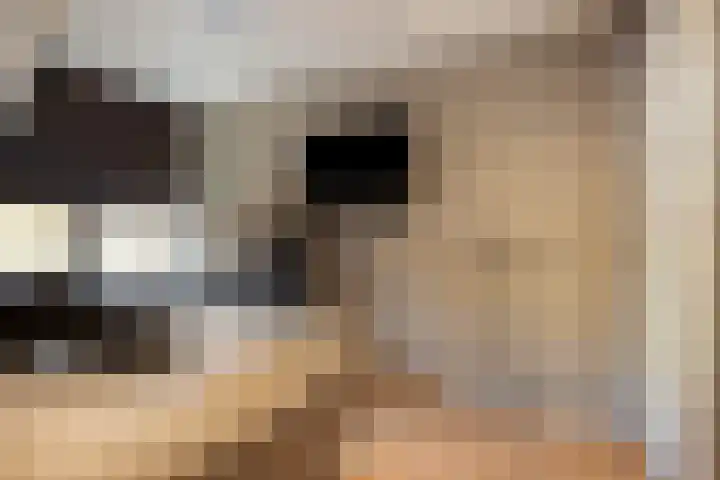 Batspade 34 Deurne thumbnail 28