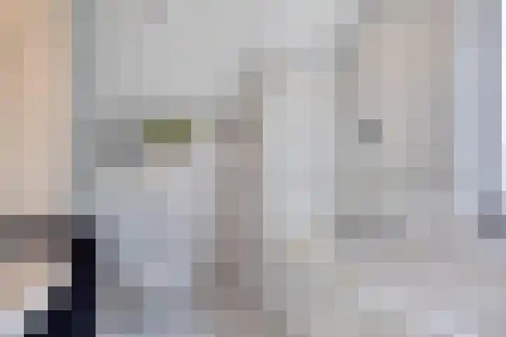 Batspade 34 Deurne thumbnail 31