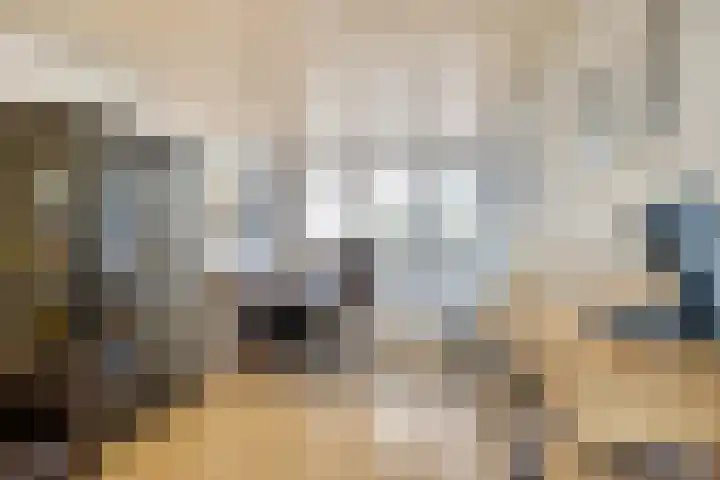 Batspade 34 Deurne thumbnail 33