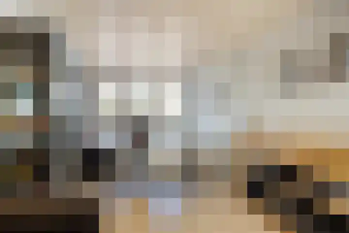 Batspade 34 Deurne thumbnail 34