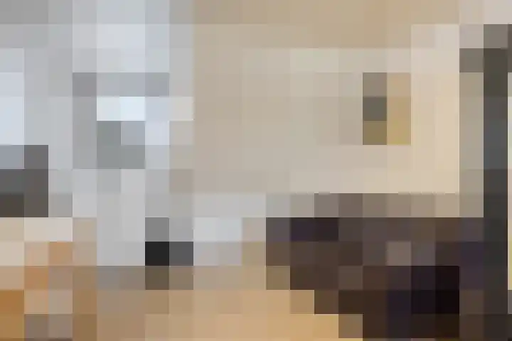 Batspade 34 Deurne thumbnail 35