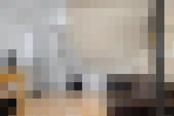 Batspade 34 Deurne thumbnail 36