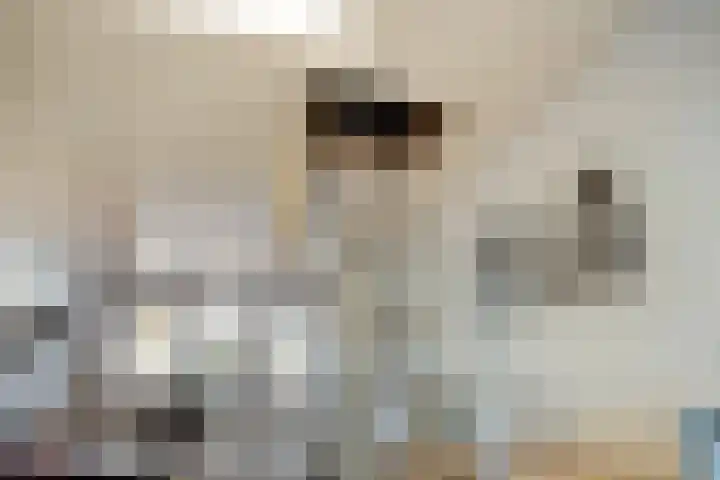 Batspade 34 Deurne thumbnail 37