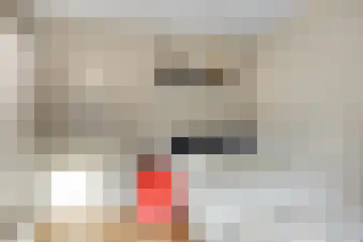 Batspade 34 Deurne thumbnail 39