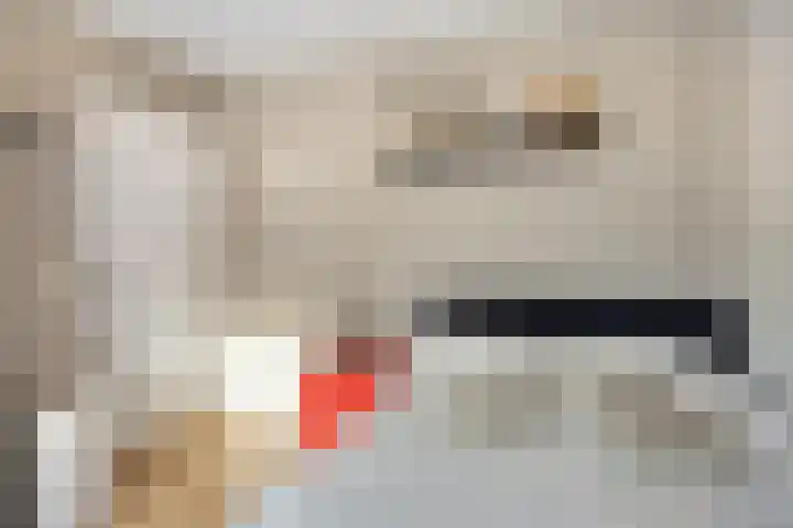 Batspade 34 Deurne thumbnail 40