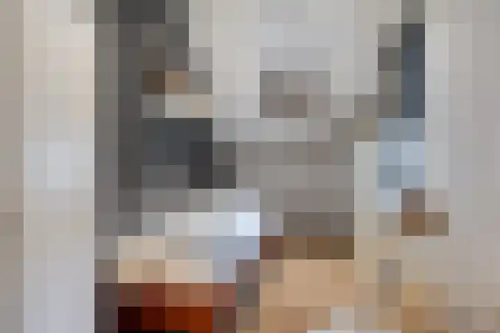 Batspade 34 Deurne thumbnail 41
