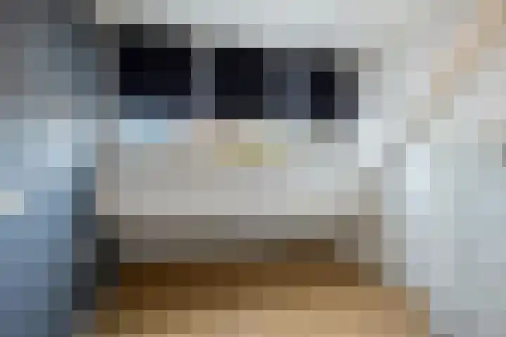 Batspade 34 Deurne thumbnail 44