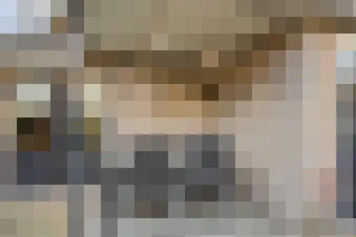 Batspade 34 Deurne thumbnail 50