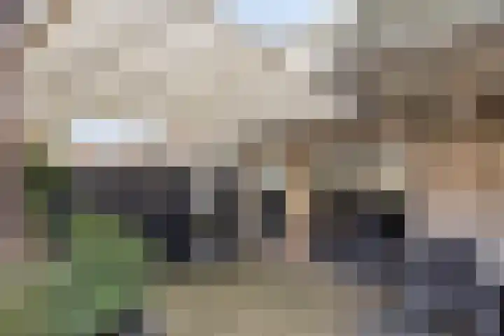 Batspade 34 Deurne thumbnail 53