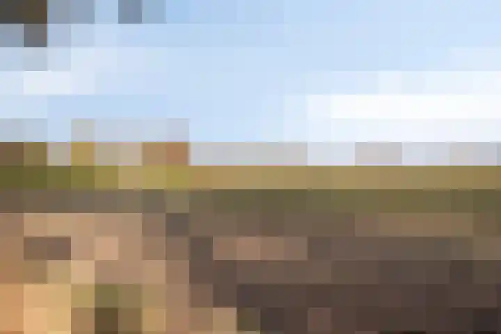 Batspade 34 Deurne thumbnail 54