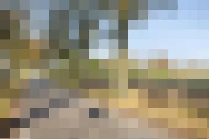 Batspade 34 Deurne thumbnail 55
