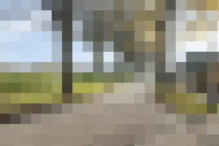 Batspade 34 Deurne thumbnail 56