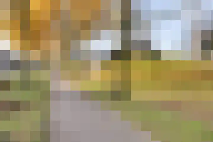 Batspade 34 Deurne thumbnail 57