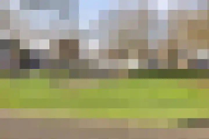 Batspade 34 Deurne thumbnail 58