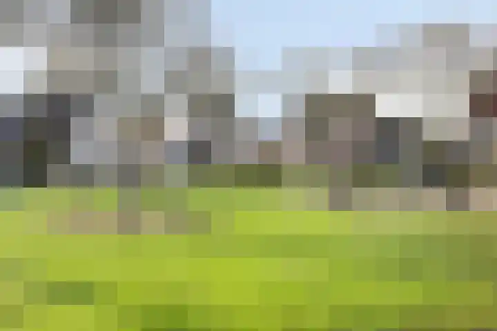 Batspade 34 Deurne thumbnail 59