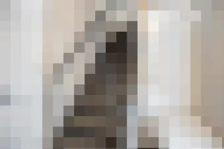 Batspade 34 Deurne thumbnail 6