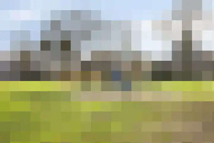Batspade 34 Deurne thumbnail 60