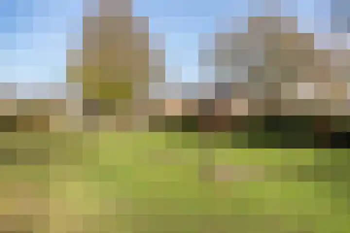 Batspade 34 Deurne thumbnail 61