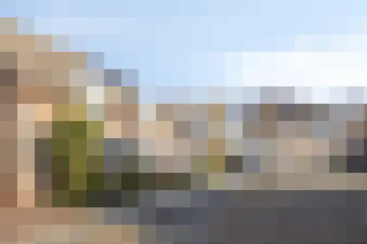 Batspade 34 Deurne thumbnail 64
