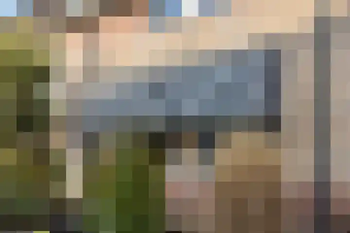 Batspade 34 Deurne thumbnail 66