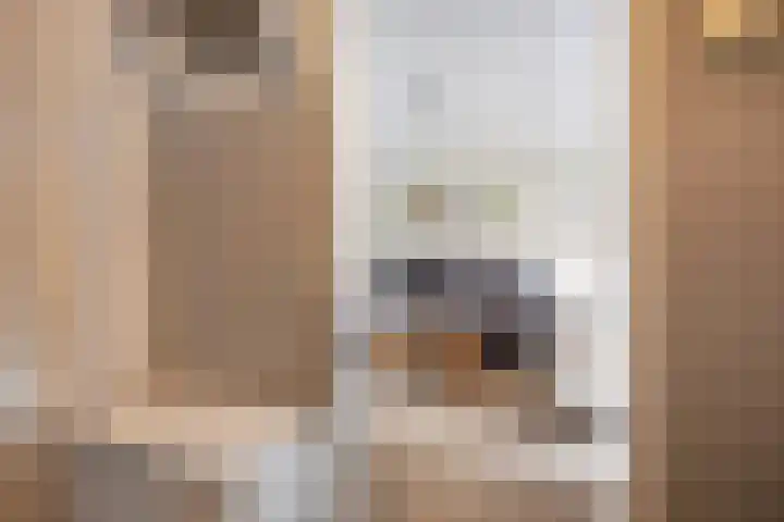 Batspade 34 Deurne thumbnail 7