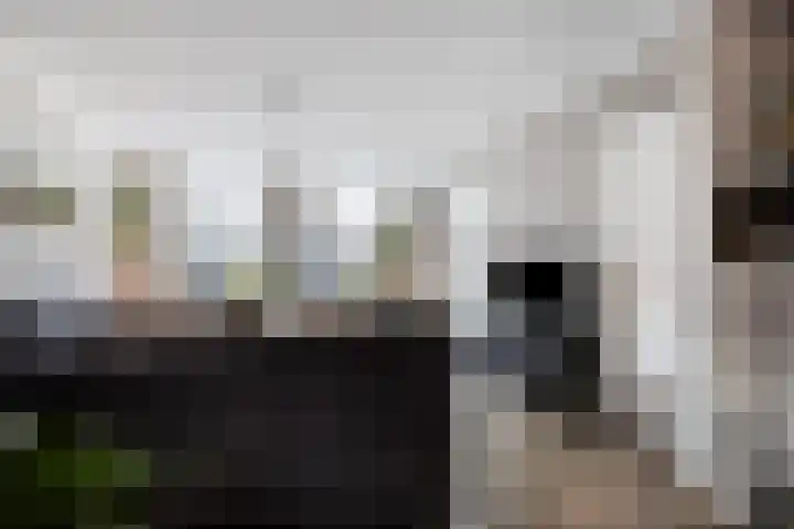 Batspade 34 Deurne thumbnail 8