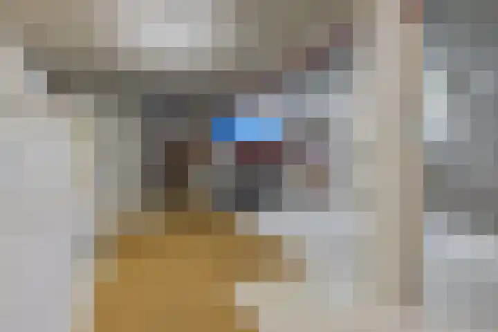 Batspade 57 Deurne thumbnail 13