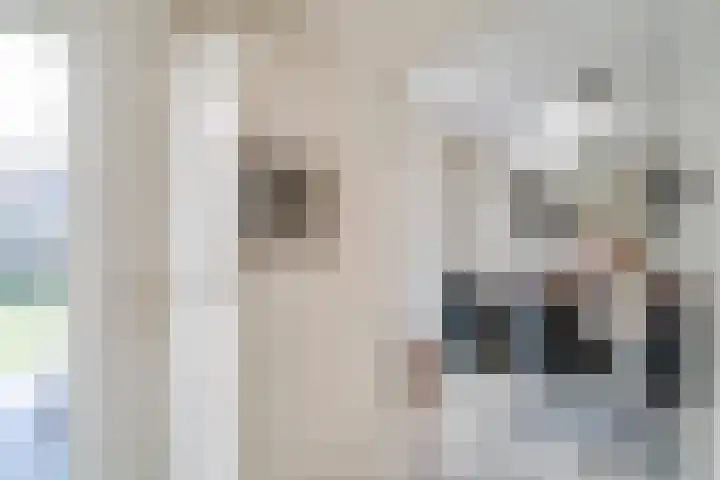 Batspade 57 Deurne thumbnail 13