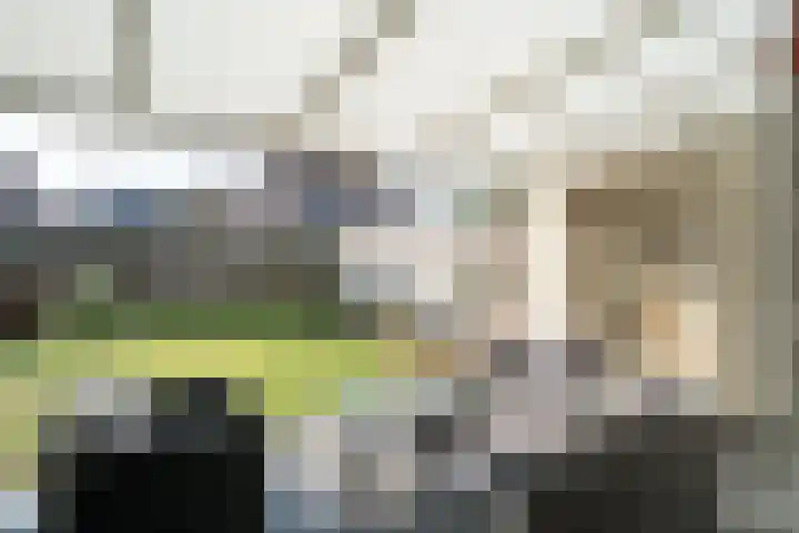Batspade 57 Deurne thumbnail 14