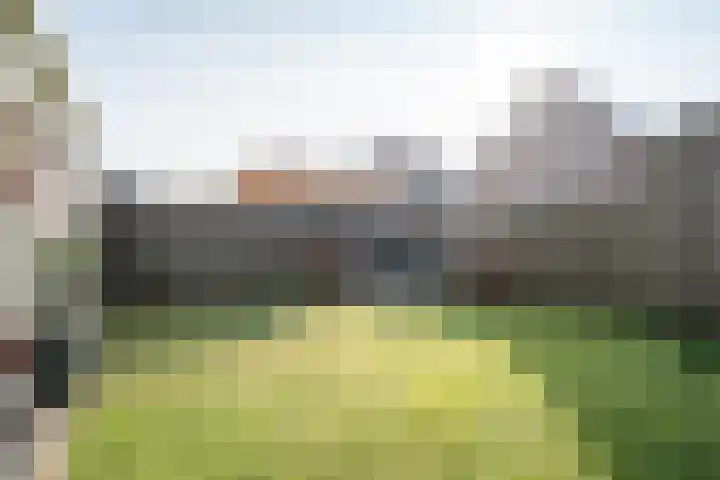 Batspade 57 Deurne thumbnail 15