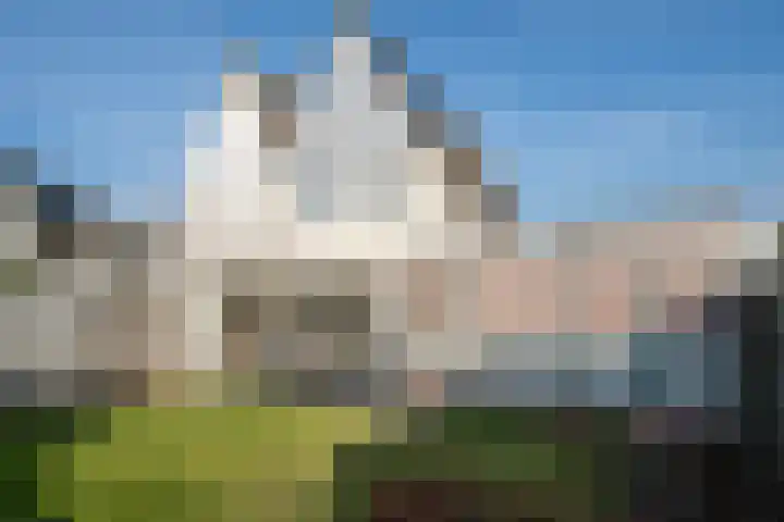 Batspade 57 Deurne thumbnail 18