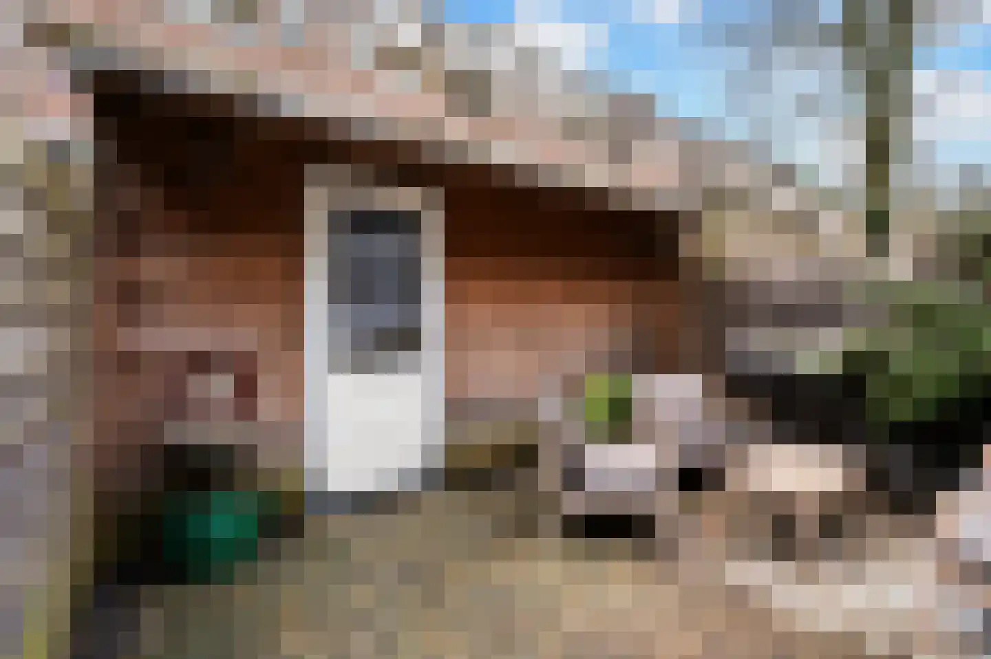 Batspade 57 Deurne thumbnail 25