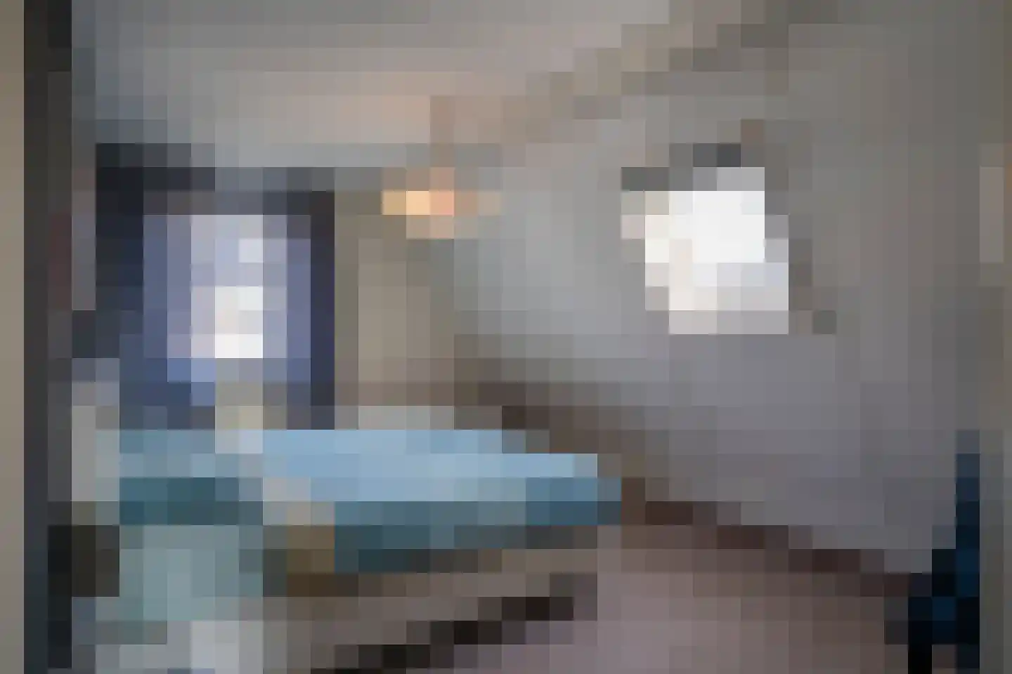 Batspade 57 Deurne thumbnail 26