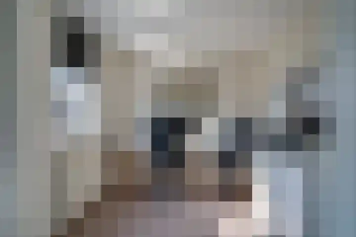 Batspade 57 Deurne thumbnail 29