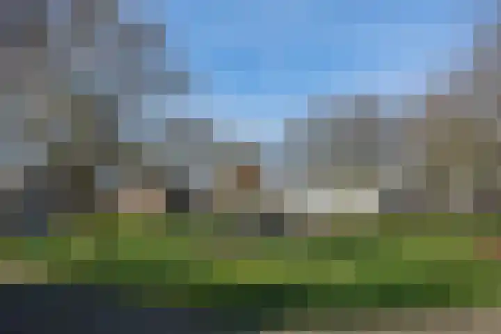 Batspade 57 Deurne foto 3
