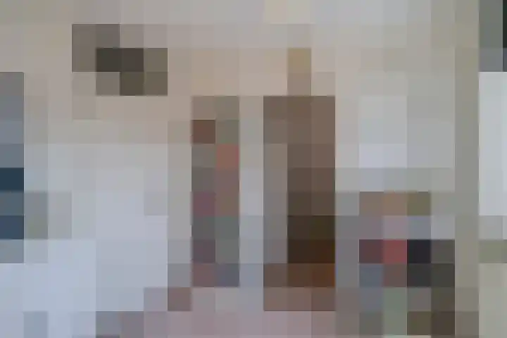 Batspade 57 Deurne thumbnail 30