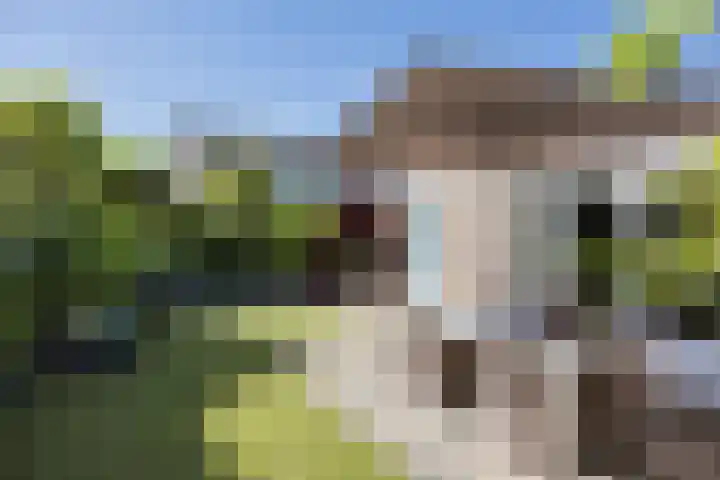 Batspade 57 Deurne thumbnail 34