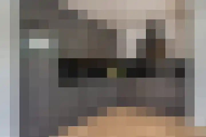 Batspade 57 Deurne thumbnail 4