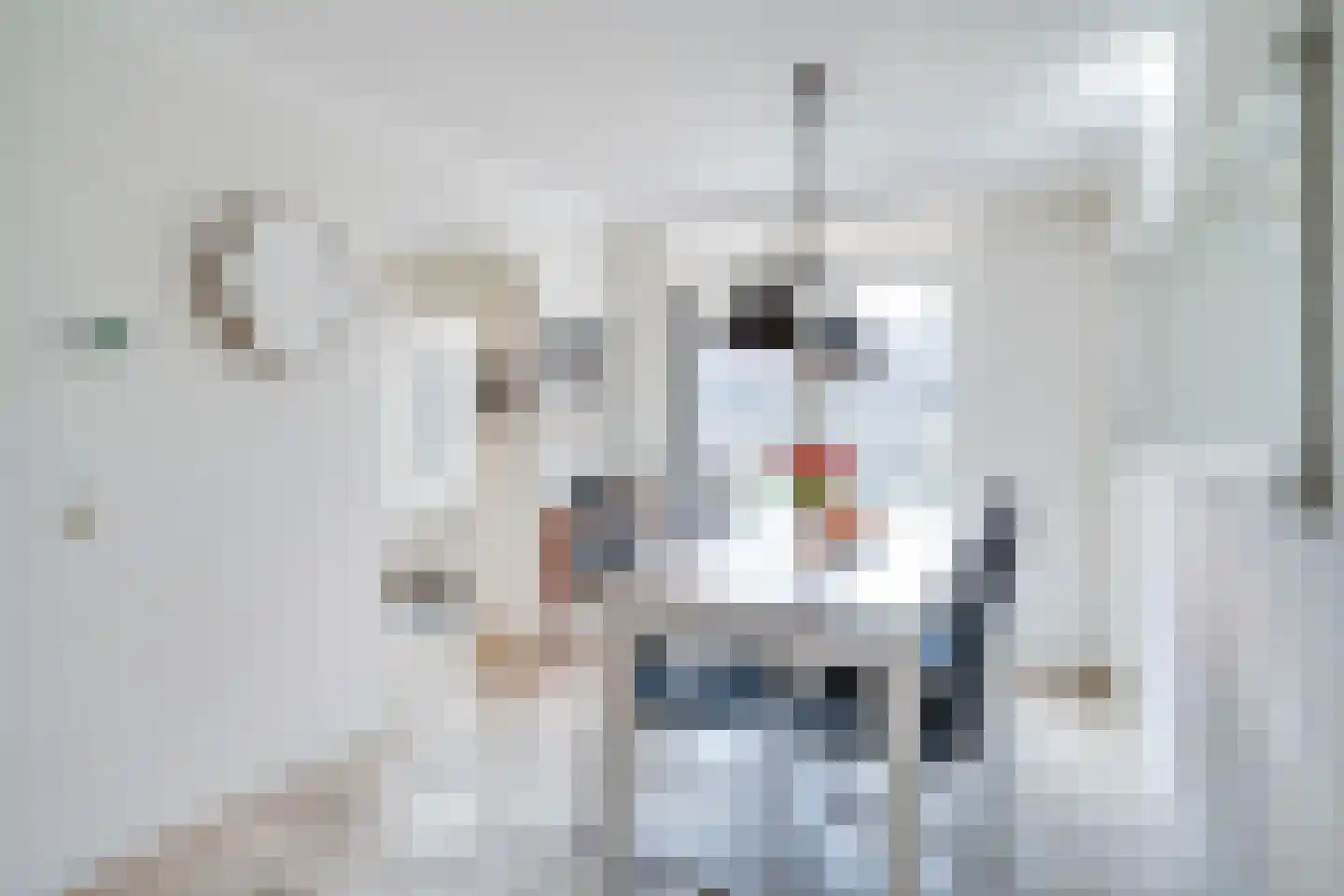 Batspade 57 Deurne thumbnail 8