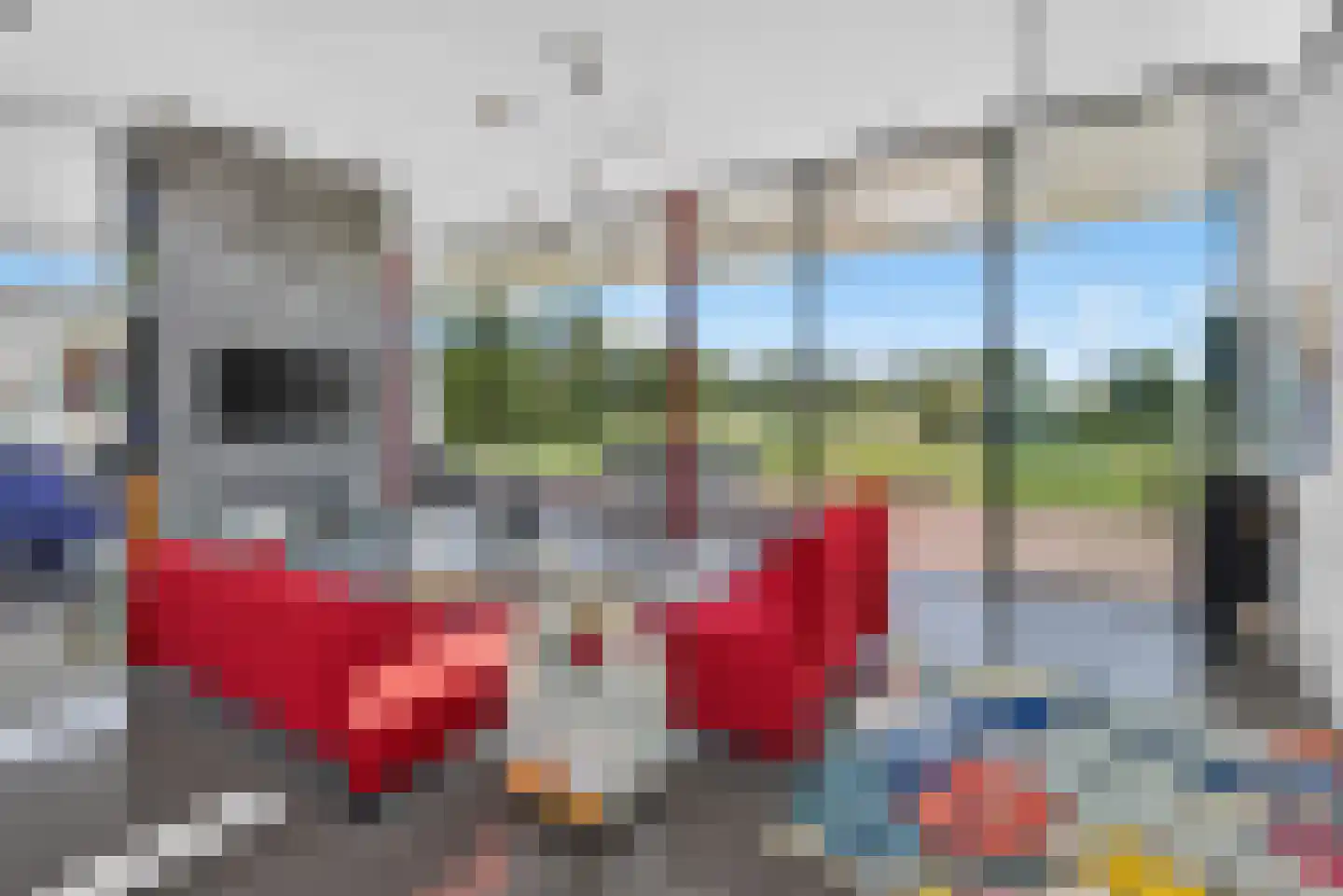 Battenoordsedijk 17 Nieuwe-Tonge thumbnail 16